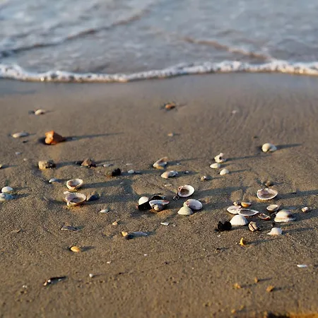 Elegant And Bright Near The Bibione
