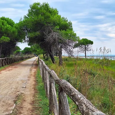Elegant And Bright Near The Апартаменты